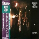 Dead Or Alive- 12"  JAP - Something In My House
