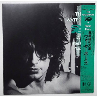 The Waterboys - LP - JAP - A Pagan Place -PROMO