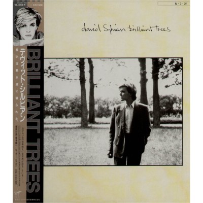 Sylvian, David (Japan) - LP - JAP -  Brilliant Trees