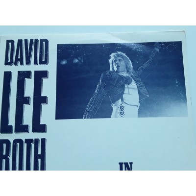 David Lee Roth - 2 LP - In Search Of Paradise