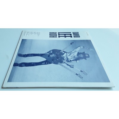 David Lee Roth - 2 LP - In Search Of Paradise
