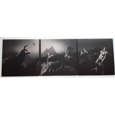 Neurosis - 2 LP - U.S.A. - Given to The Rising - Clear Vinyl
