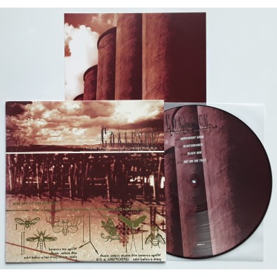 Coalesce - LP - U.S.A. - There is Nothing New Under The...