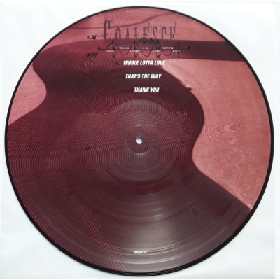 Coalesce - LP - U.S.A. - There is Nothing New Under The Sun - PICTURE