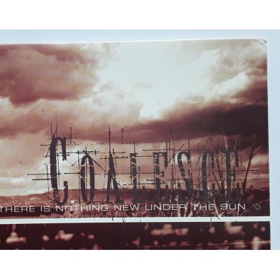 Coalesce - LP - U.S.A. - There is Nothing New Under The Sun - PICTURE