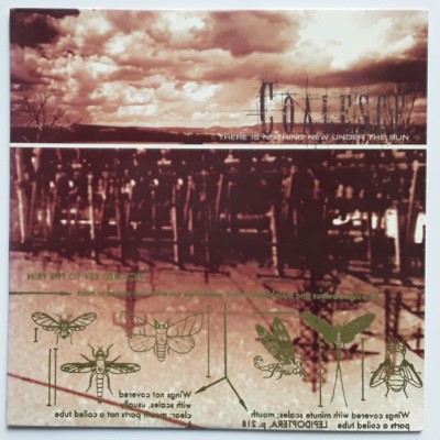 Coalesce - LP - U.S.A. - There is Nothing New Under The Sun - PICTURE