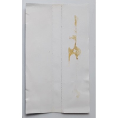 Sham 69 - CD - JAP - Live And Loud!