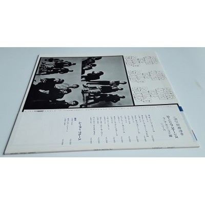 Rolling Stones - LP - JAP - After-Math - Blue Vinyl - PROMO