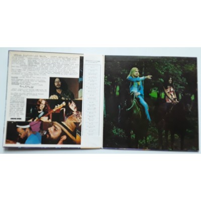Allman, Gregg - LP - JAP - Laid Back