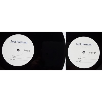 Iron Maiden - Dickinson, Bruce - 2 LP - EU - Scream for Me - WHITE LABEL PROMO - Test Pressing