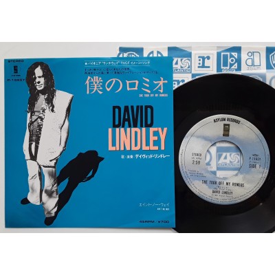Lindley, David - 7" JAP - JAP - She Took Off My Romes