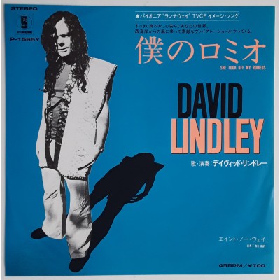 Lindley, David - 7" JAP - JAP - She Took Off My Romes
